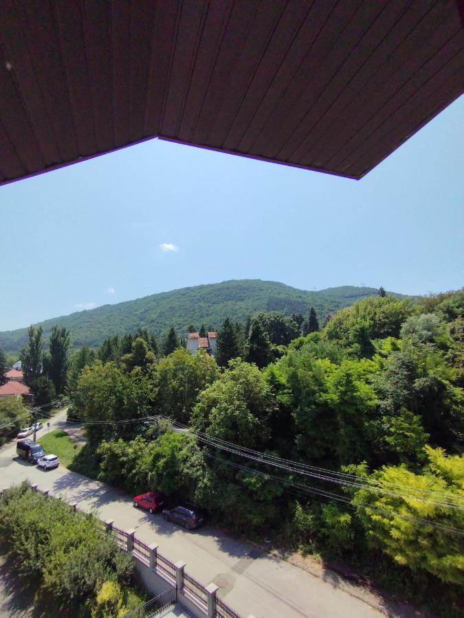 Vila Marko Нішка-Баня Екстер'єр фото