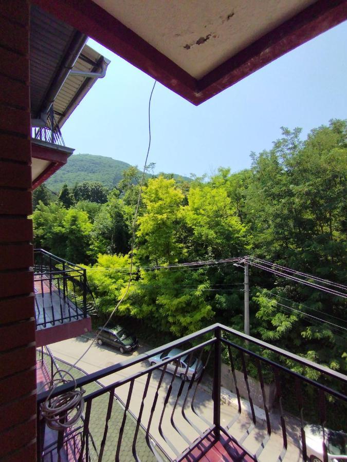 Vila Marko Нішка-Баня Екстер'єр фото
